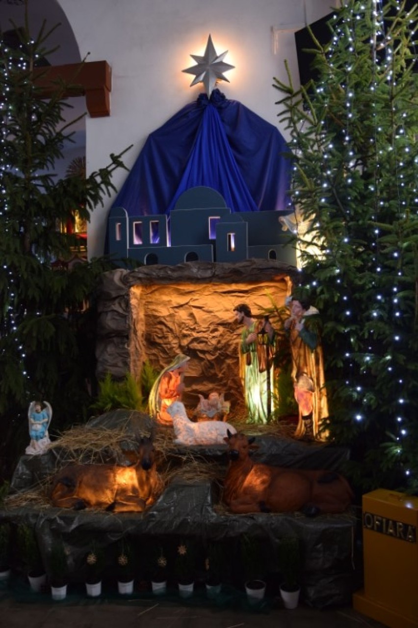 Pruszcz Gdański: Szopka bożonarodzeniowa w kościele Matki Boskiej Nieustającej Pomocy. Galeria zdjęć i wideo! [ZDJĘCIA, WIDEO]