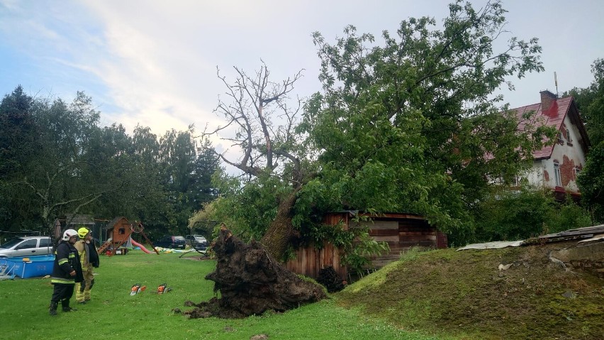 Silny podmuch wiatru powalił drzewo na dom i budynek...
