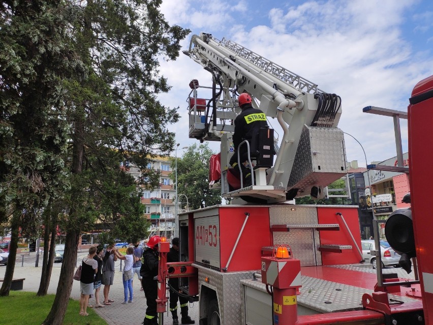 Niecodzienna interwencja Państwowej Straży Pożarnej z Jasła. Do akcji w centrum miasta musieli użyć drabiny [ZDJĘCIA]