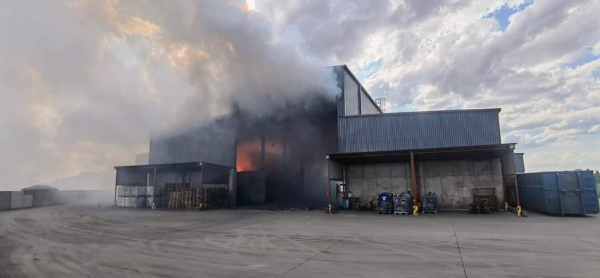 Pożar w zakładzie w Skarbimierzu-Osiedlu - 6.07.2022r.