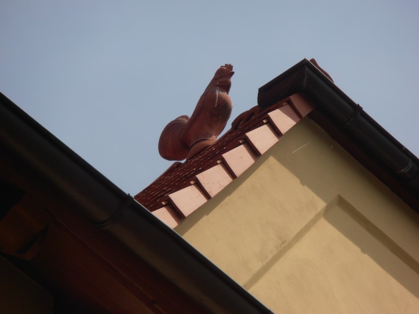 Kogucik na dachu kamienicy [zdjęcia]