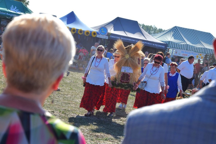 Rolnicze święto w tym roku zorganizowano w Brodni w gminie...