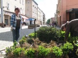 ZUK Strzegom - sadzą kwiaty w gminiie