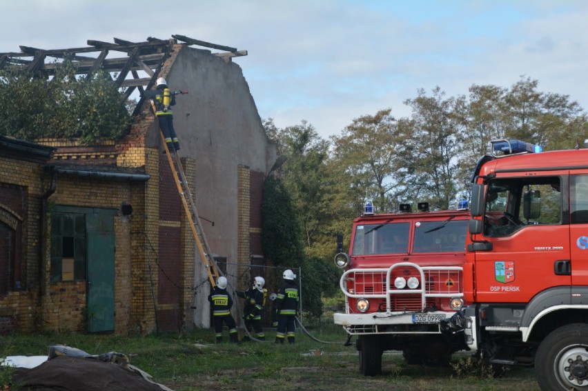 Strażacy ćwiczyli w Pieńsku. Tym razem na terenie Huty Szkła „Zakład Nysa” [ZDJĘCIA]