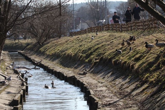 Struga, rzeka w Gdyni Cisowej. Budowa mostku na Strudze jest coraz bliżej