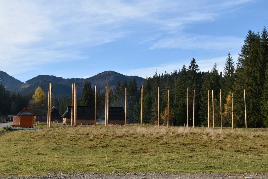 Tatry. Na Siwej Polanie powstaje park linowy. Sprawę bada nadzór budowlany [ZDJĘCIA]