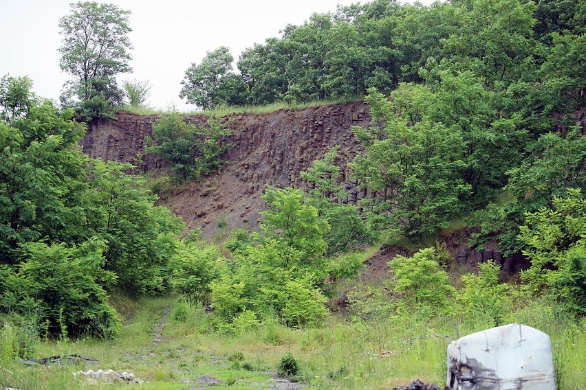 Pozostałości po kamieniołomach w Mikołajowicach