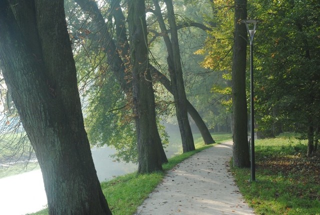 Park miejski w Kościanie - klasyka jesiennego gatunku: trochę mgiełki, trochę słońca, trochę złotych liści i alejka drzew nad wodą.