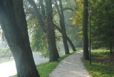 Jesienny spacer po Kościanie - zobacz zdjęcia