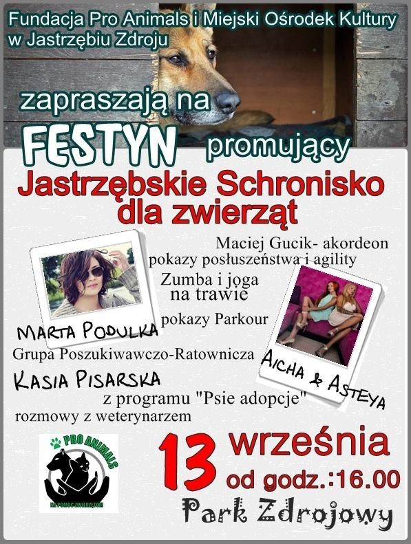 Schronisko dla zwierząt w Jastrzębiu-Zdroju: Odbędzie się festyn na rzecz schroniska