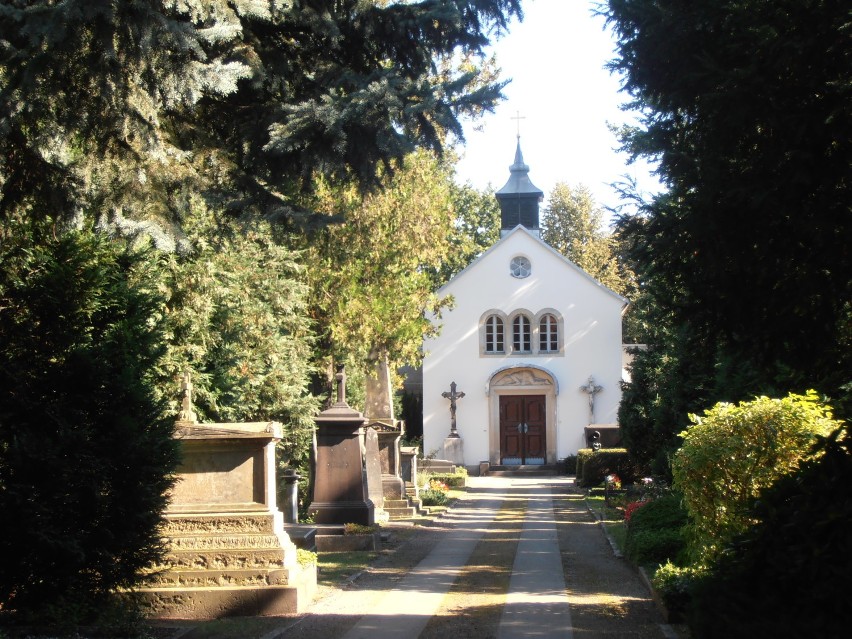 Stary Cmentarz Katolicki w Dreźnie z nagrobkami Polaków [ZDJĘCIA]