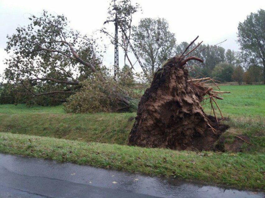 Region: Wiatr łamał drzewa i zrywał dachy. W wielu miejscowościach nie było prądu