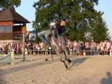 Festiwal jeździecki w Gajewnikach [Zdjęcia]