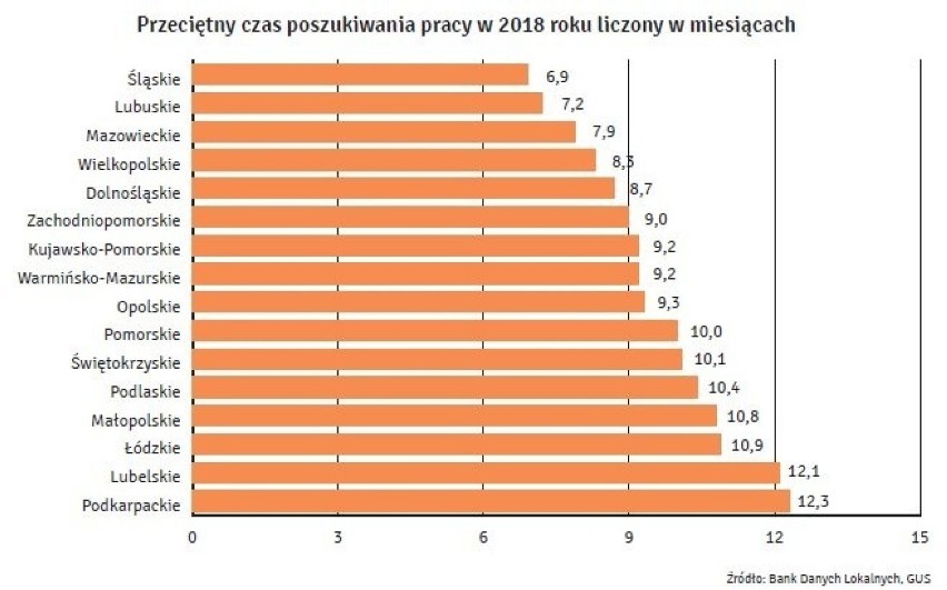 Jak wypadł Szczecin w Rankingu Miast dla Młodych? Sprawdź!