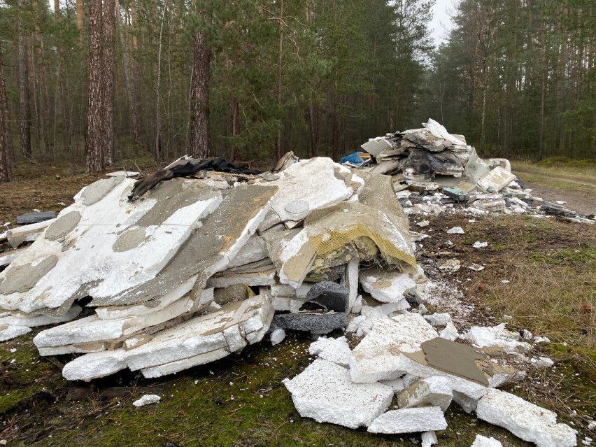Ktoś wyrzucił hałdy śmieci w Puszczy Noteckiej na granicy...