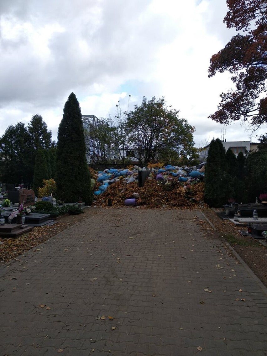 Wolsztyn. Kontenera na śmieci na razie nie będzie [FOTO]