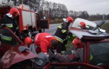 Wolsztyn. Zbąszyń - pięciu rannych w wypadkach (foto)