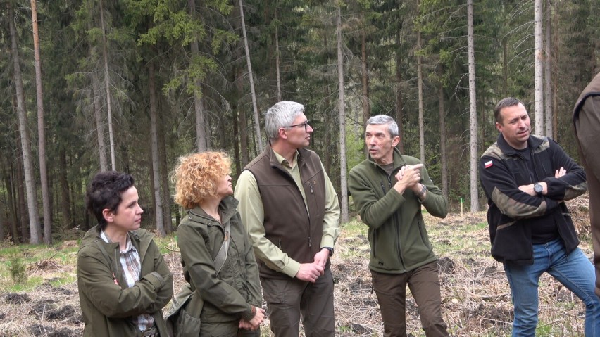 Politycy i samorządowcy już po raz drugi uczestniczyli w ogólnopolskiej akcji „Łączą nas drzewa” w Nadleśnictwie Jugów