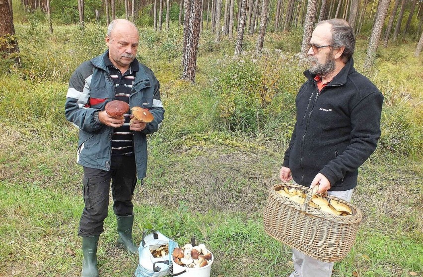 Zenon Kowalski (z lewej) i Włodzimierz Kowalski ze...