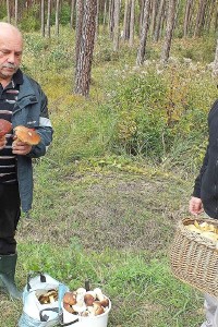 Mieszkańcy Starachowic oszaleli na punkcie grzybów. Zobacz piękne okazy [ZDJĘCIA]