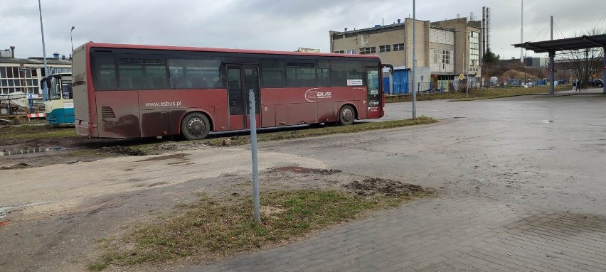 Na jakie kursy i linie autobusowe w powiecie chełmińskim są...