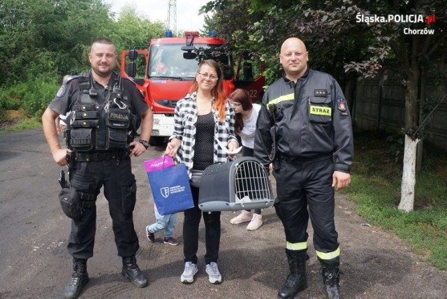 Przyjaciele uratowali kotka z pożaru i znaleźli dla niego dom ZDJĘCIA