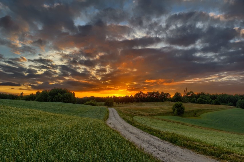 Goręczyno, lato