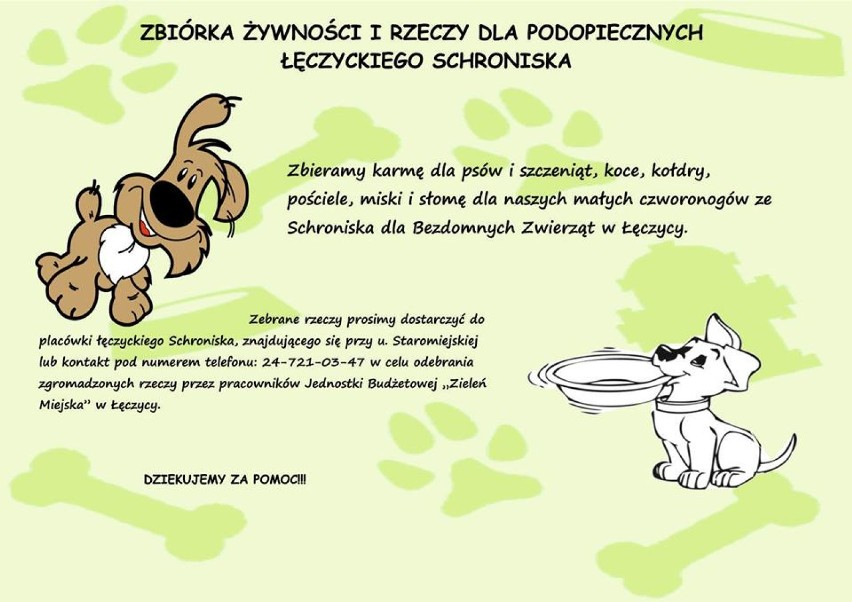 Wielka zbiórka dla podopiecznych schroniska dla bezdomnych zwierząt w Łęczycy [AKCJA]