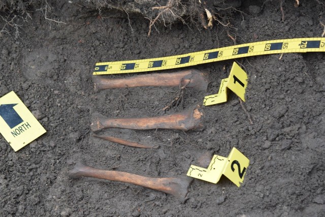 Szczątki ludzkie znalezione przed domem, przy ul. wolności 26