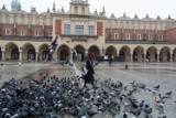 Krakowski Rynek bez kiermaszu, bezludny, ale jednak ze Świętym Mikołajem [ZDJĘCIA]