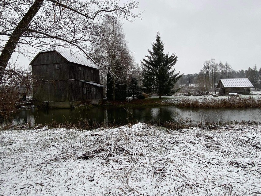 Pierwszy śnieg. Zobacz, jak uroczo wygląda gmina Korycin przykryta cienką warstwą białego puchu 