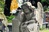 Częstochowa: Kwesta na cmentarzach. Będą zbierali środki na odnowienie nagrobków