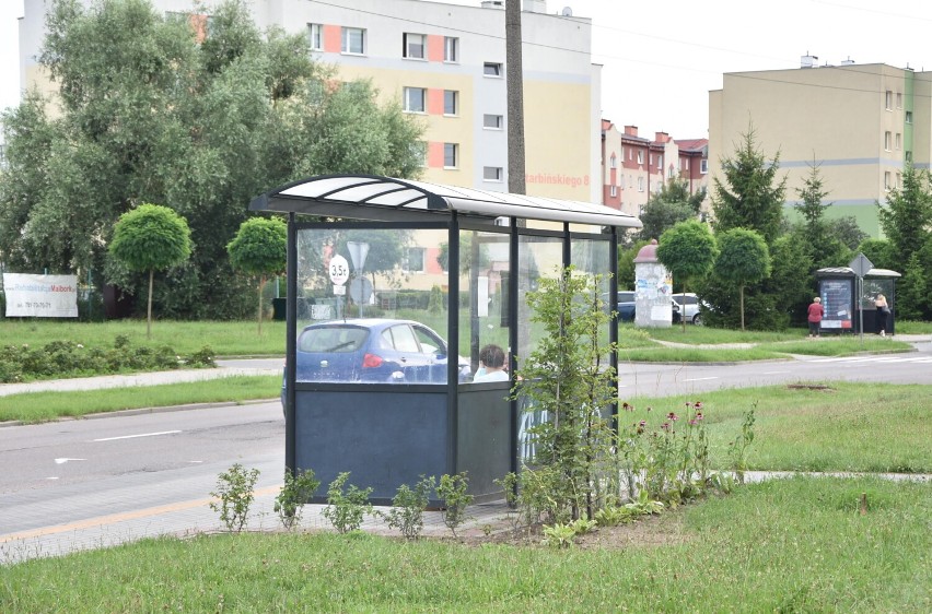 Malbork. Zielone przystanki autobusowe mają umilać życie pasażerom. Tak wygląda jeden z nich, którzy został ukwiecony