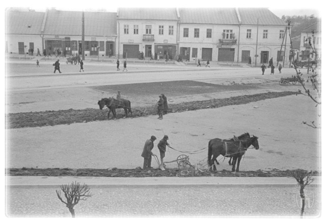 Jędrzejów, Rynek. Orka na rynku. Widok na stronę południową. Data zdjęcia: 1930/1939.
