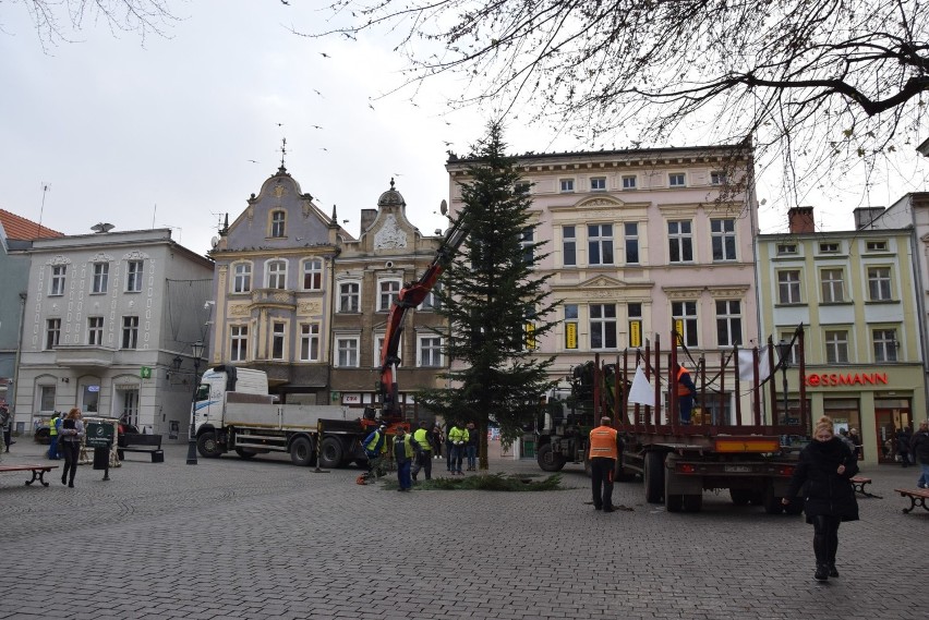 Zielona Góra, 2 grudnia 2019 r. Montaż choinki na...