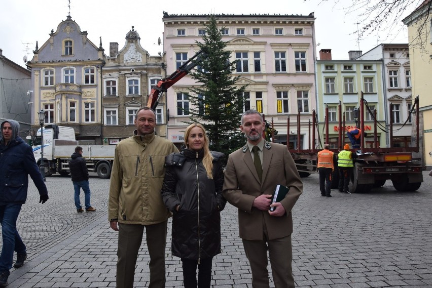 Zielona Góra, 2 grudnia 2019 r. Montaż choinki na...