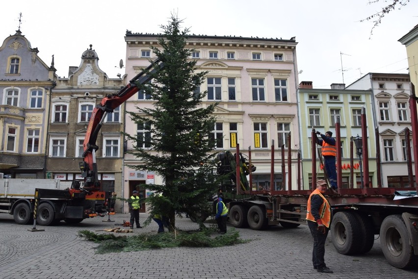 Zielona Góra, 2 grudnia 2019 r. Montaż choinki na...