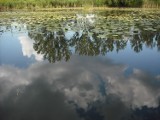 Jezioro Powsinkowskie. Perła wilanowskiej przyrody