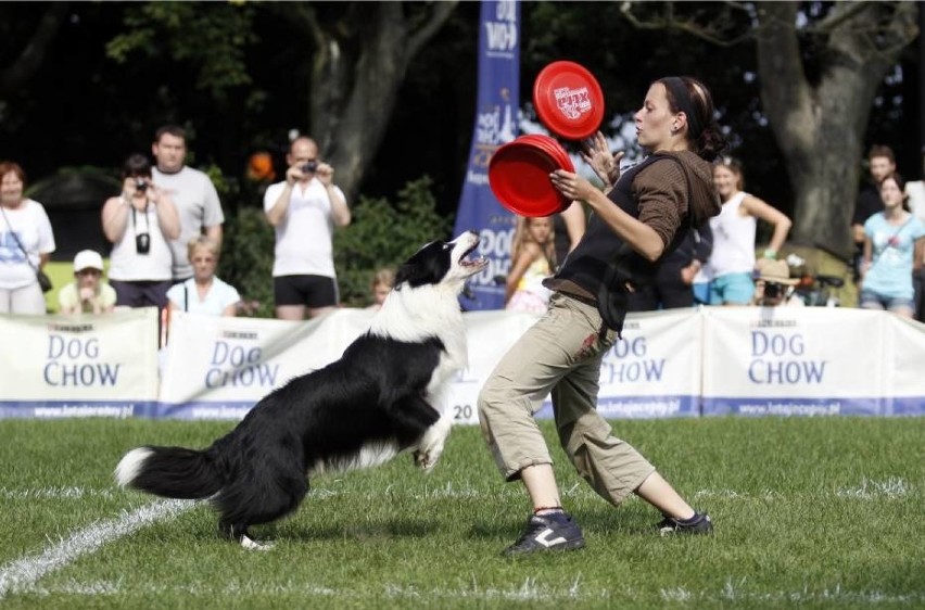 III i IV Zawody Agility w cyklu Pucharu Bursztynowego Psa...