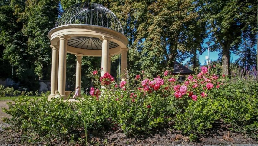 Park Jaśkowa Dolina - oficjalne otwarcie, 1 października...