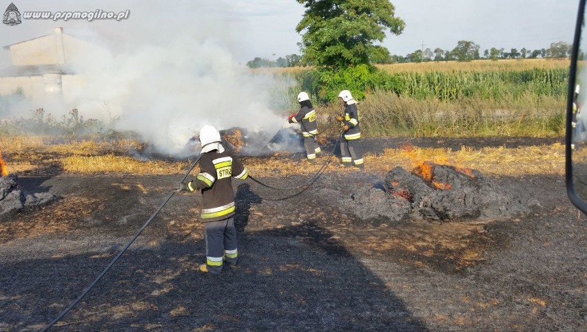 Pożar rżyska oraz słomy w pobliżu miejscowości Młynice