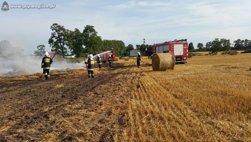 Pożar rżyska oraz słomy w pobliżu miejscowości Młynice