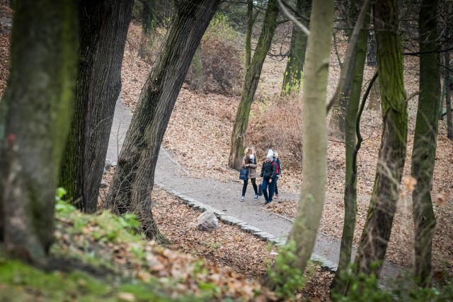 Trzy hektary - tyle powierzchni liczy park na Wzgórzu Dąbrowskiego. Jeśli wszystko pójdzie zgodnie z planem, już niedługo zmieni swój wygląd. Kończą się bowiem prace nad projektem modernizacji parku. Co konkretnie się tam zmieni?