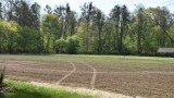 Malbork. Nowe boisko do piłki nożnej powstaje na polanie w Parku Miejskim. Powoli zaczyna rosnąć trawa 
