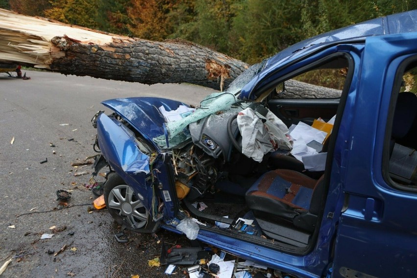 Jechali na grzyby, na ich auto spadło drzewo. Tragiczny finał zdarzenia w Aksmanicach! 37-latek zmarł w szpitalu