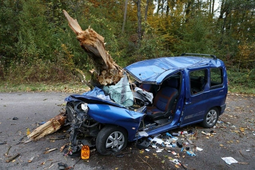 Jechali na grzyby, na ich auto spadło drzewo. Tragiczny finał zdarzenia w Aksmanicach! 37-latek zmarł w szpitalu