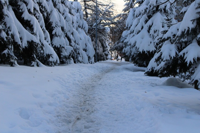 Wielka zima w Olkuszu