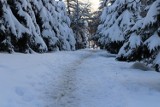 Takiej zimy w Olkuszu nie było już dawno. Zasypane drogi i chodniki, śnieg zwisający z dachów i ogromne sople. Zobacz zdjęcia