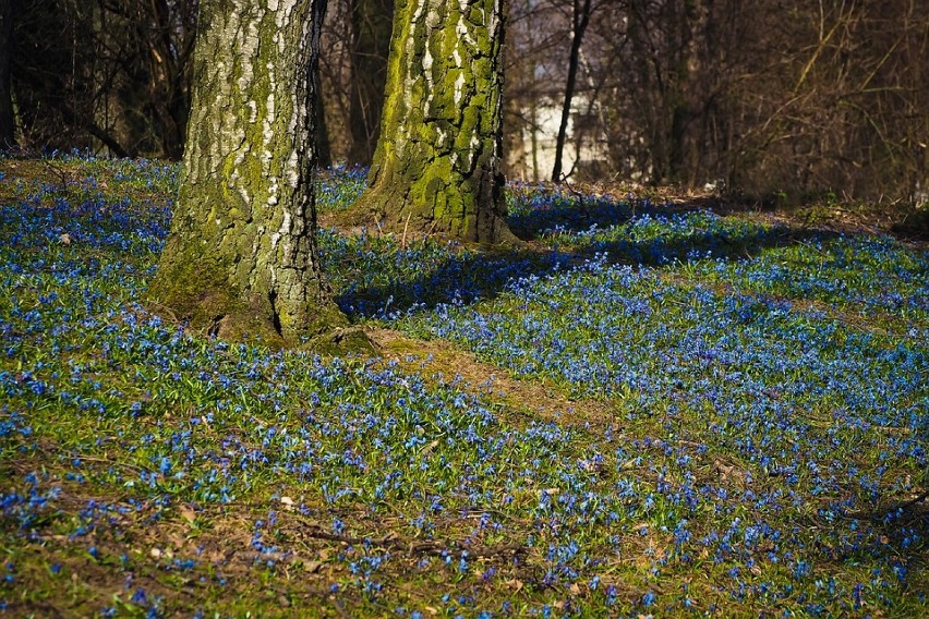 Na swoje pupile należy też zwracać baczną uwagę na kilku...