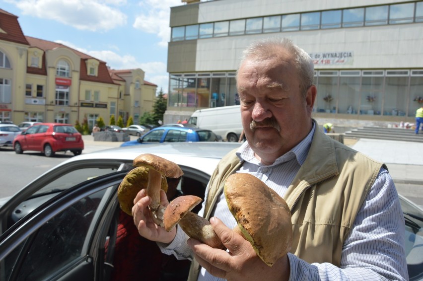 Grzyby w lasach pod Piotrkowem. W ten weekend będzie wysyp prawdziwków?